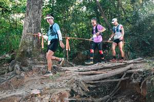 BIB: 
                            <button type="button" onclick="openModal(27305225)" class="btn btn-primary btn-sm float-right btn-popup" data-toggle="modal" data-target=".modal-high-quality">
                        <i class="fas fa-shopping-cart"></i> Add to Cart
                    </button>
                                            <button type="button" onclick="isThisMe(27305225, true)" class="btn btn-success btn-sm float-right btn-popup btn-isme hidden" data-toggle="tooltip" data-placement="bottom" title="นี่คือรูปของคุณใช่ไหม คลิกที่นี่เพื่อเอาเข้าอัลบั้ม">
                        <i class="fas fa-plus"></i> Add to album
                    </button>
                    <button type="button" onclick="isThisMe(27305225, false)" class="btn btn-warning btn-sm float-right btn-popup btn-isnotme hidden">
                        <i class="fas fa-ban"></i> Remove from album
                    </button>